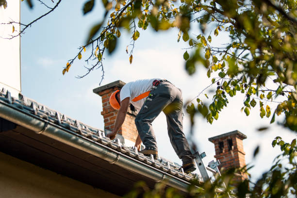 Best Emergency Roof Repair  in Sand Lake, MI