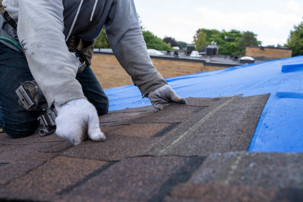Roof Waterproofing Services in Sand Lake, MI