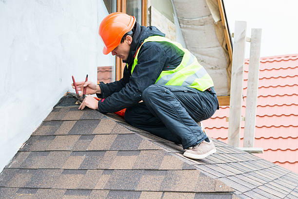 Best Local Roofing Companies  in Sand Lake, MI