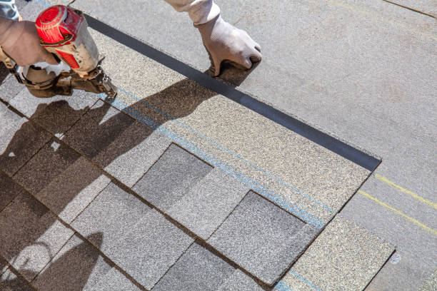 Best Roof Gutter Cleaning  in Sand Lake, MI